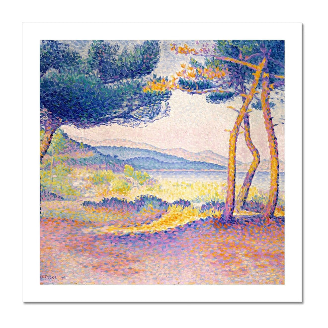 Pines Along the Shore