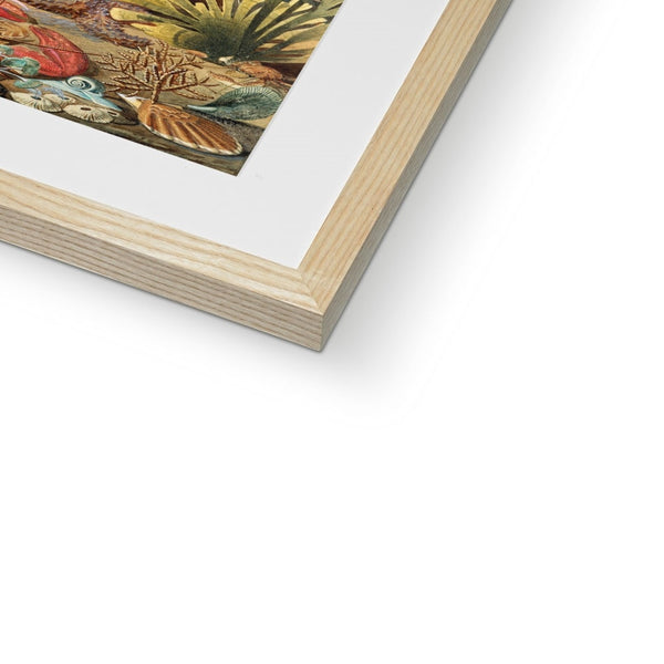 Ocean Life Framed & Mounted Print