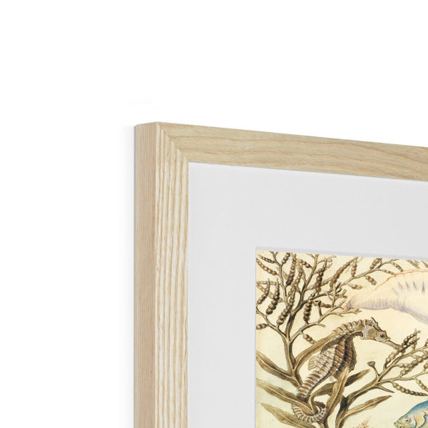 Ocean Life Framed & Mounted Print