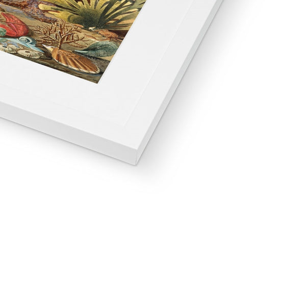 Ocean Life Framed & Mounted Print