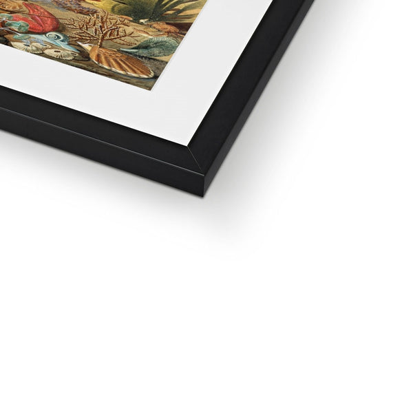 Ocean Life Framed & Mounted Print