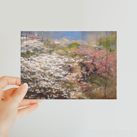 Field of Blossoms Classic Postcard