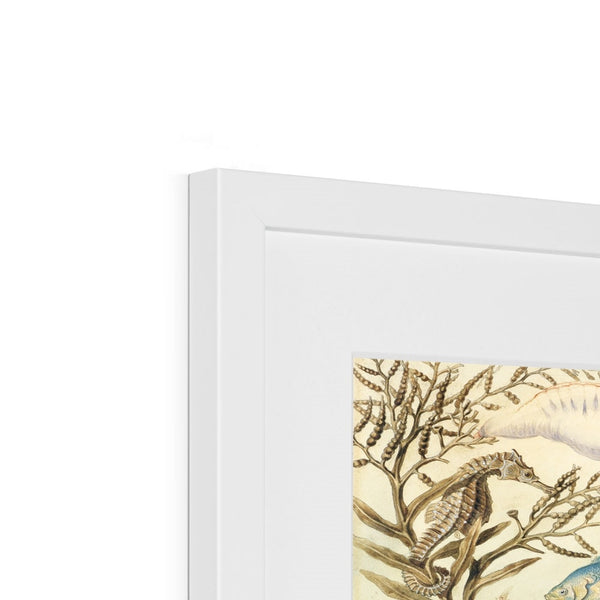 Ocean Life Framed & Mounted Print
