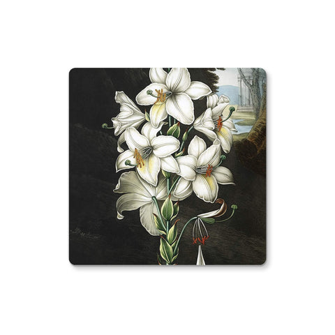 White Lilies Coaster