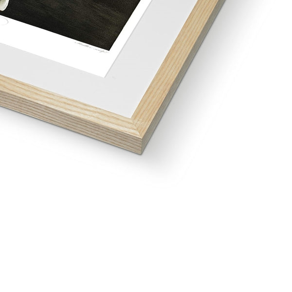 White Lilies Framed & Mounted Print
