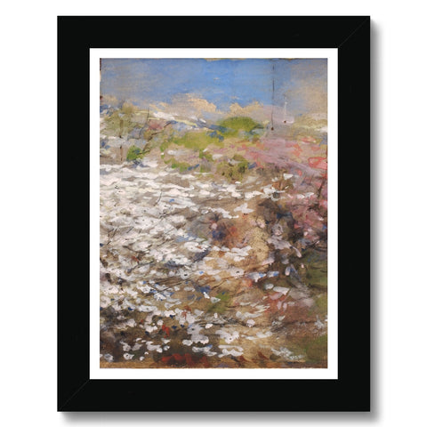 Field of Blossoms Framed Print