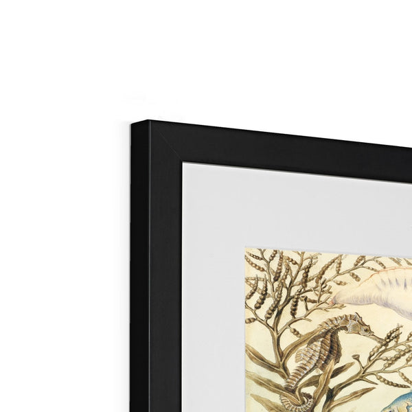 Ocean Life Framed & Mounted Print
