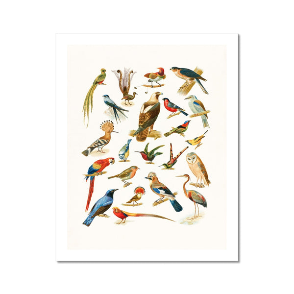 Birds of Paradise Wall Art Poster